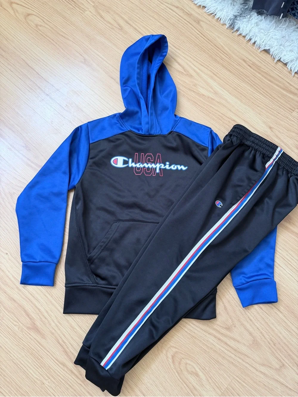 Champion Black Pullover Hoodie with Small Red & Blue Logo